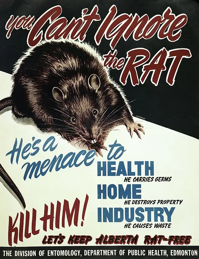 Public Health Poster Warning Public of Wild Rats from Alberta, Edmonton, Canada